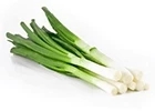 Green onion